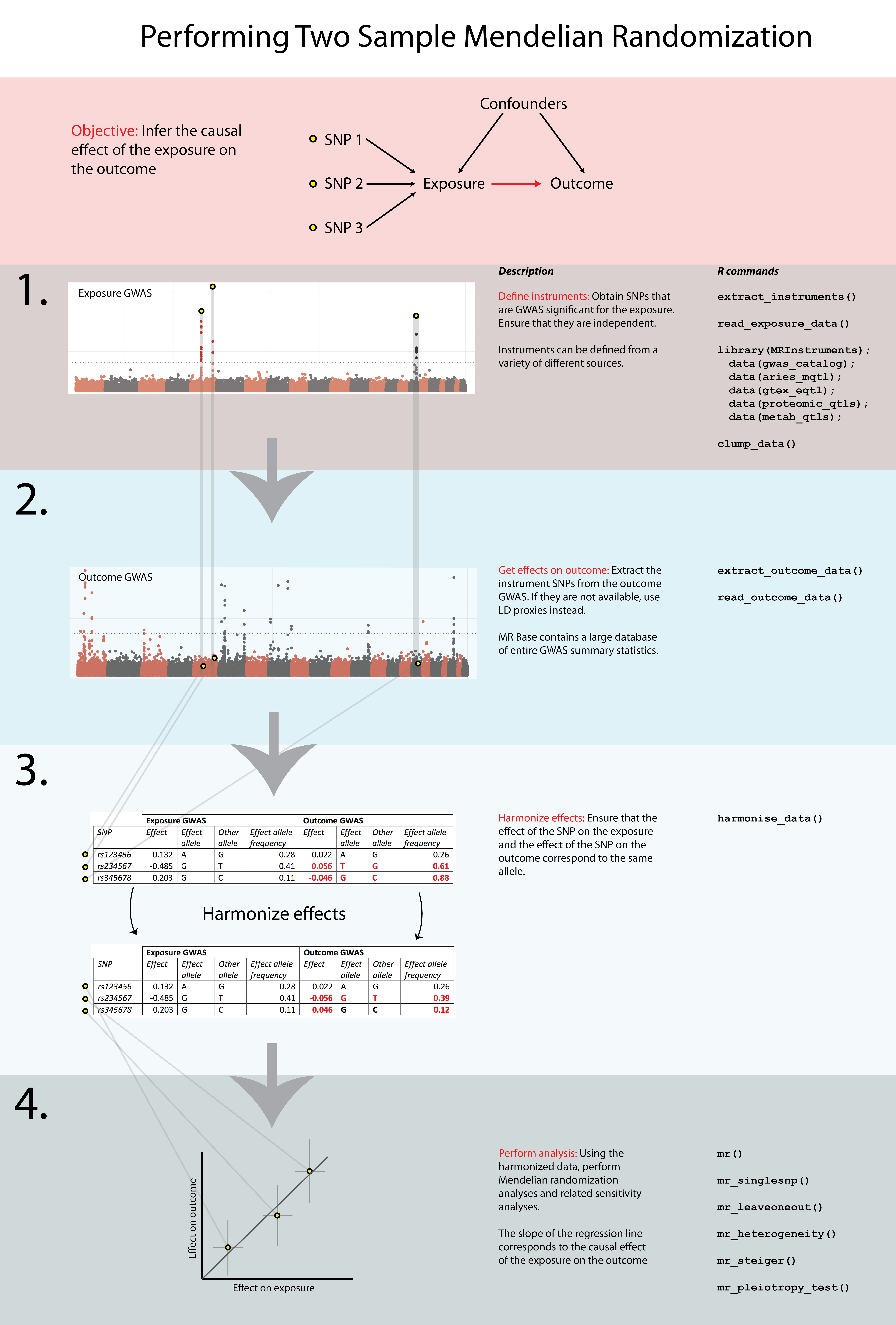 A diagram showing the workflow of a Mendelian Randomization study.